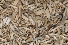 biomass boilers Pen Bont Rhydybeddau